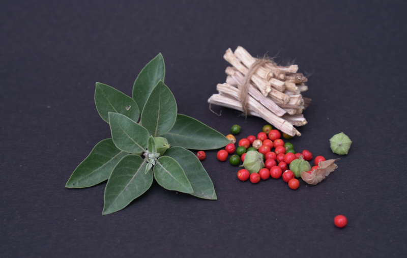 Ashwagandha