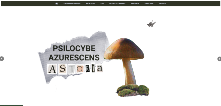 capture d'ecran du site mycotrop