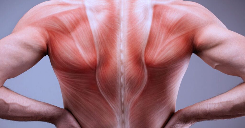 Les bienfaits de l’enthèse : découvrez comment cette pratique améliore votre santé !