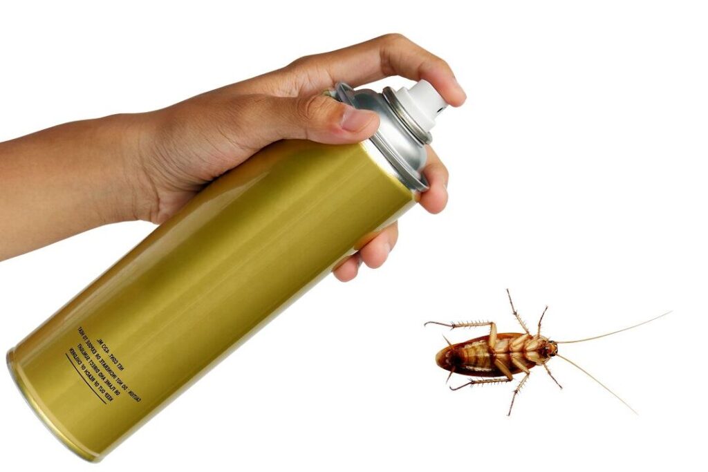 Comment lutter efficacement contre les cafards ?