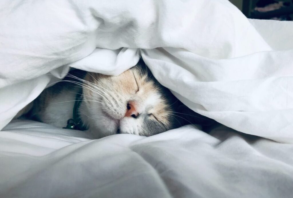 Astuces pour un sommeil réparateur