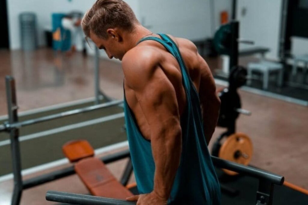 Comment renforcer votre muscle brachial avec des exercices ciblés ?