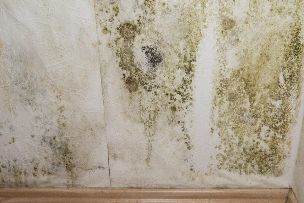 Comment traiter efficacement la remontée capillaire derrière les plaques de plâtre ?