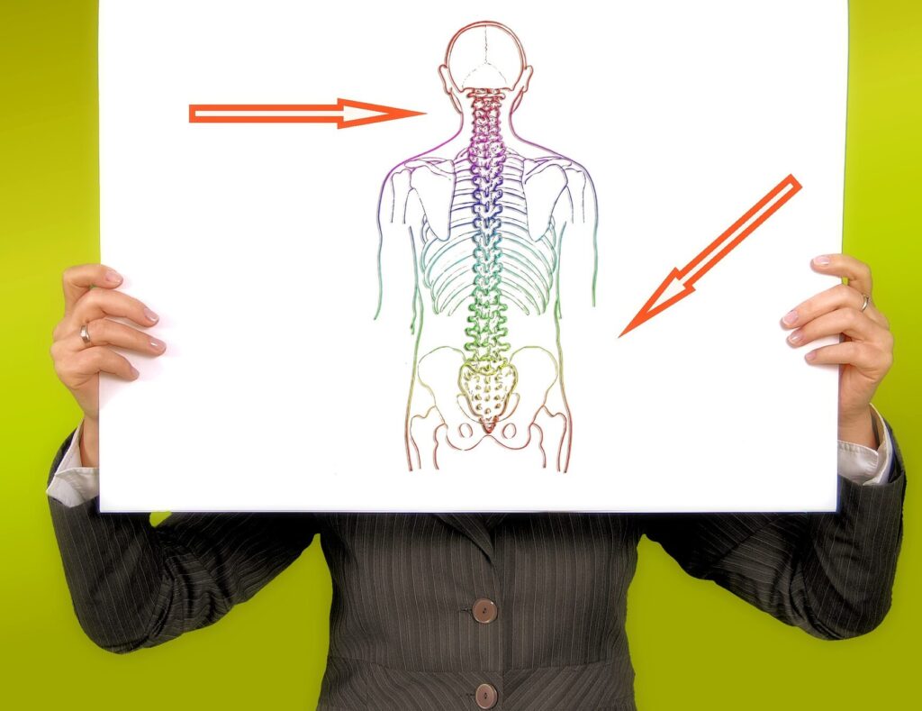 Cervicalgie et travail : quand votre profession affecte votre colonne vertébrale