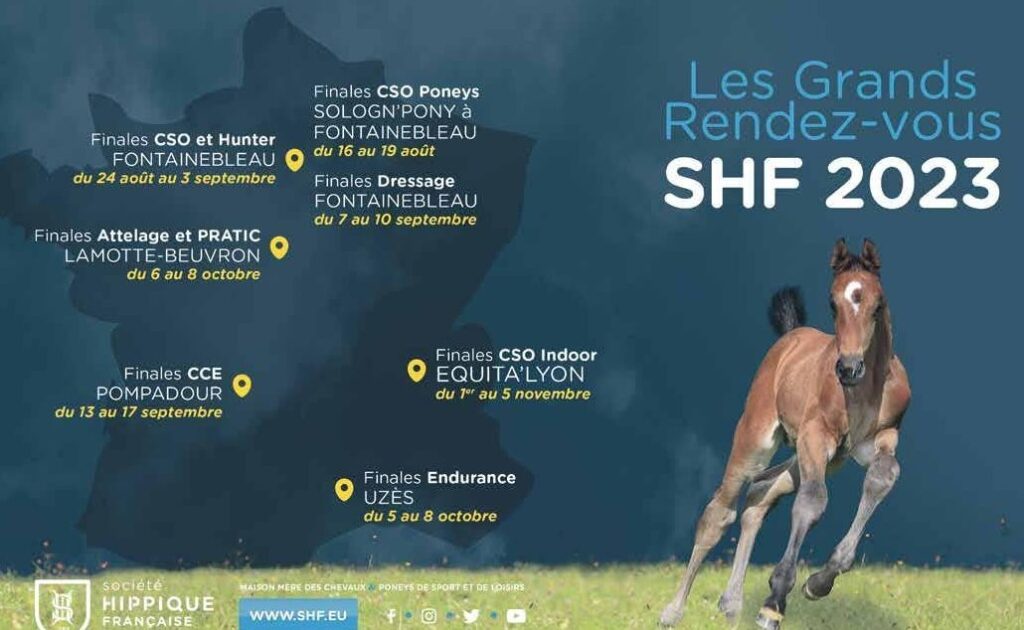 Sentenac Laure : qui est cette experte reconnue en nutrition ?