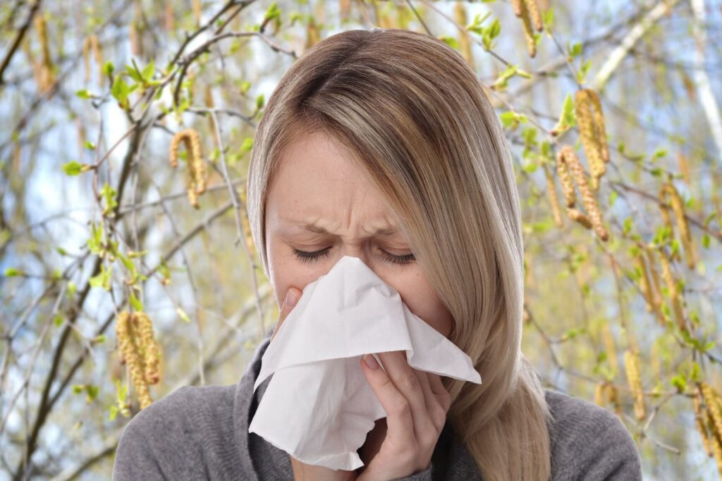 Allergie en août : Comment se préparer aux pollens tardifs ?