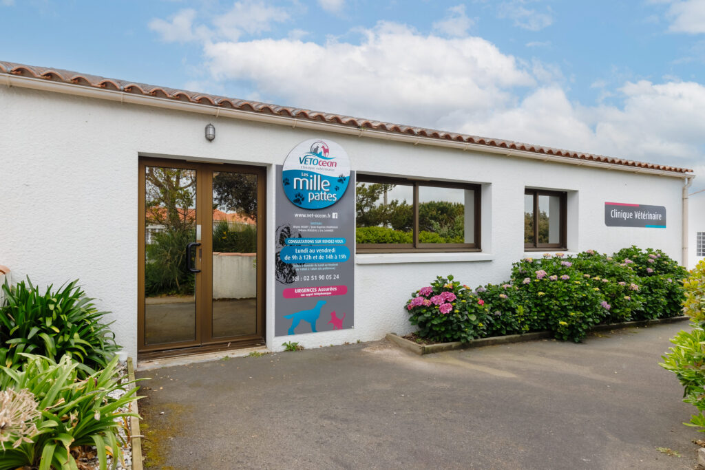 Trouver le bon médecin à Brétignolles-sur-Mer : Conseils et adresses utiles