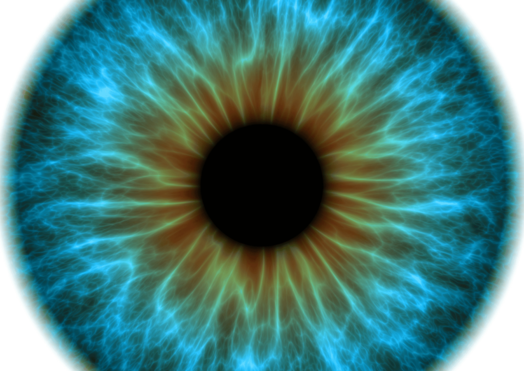 iris