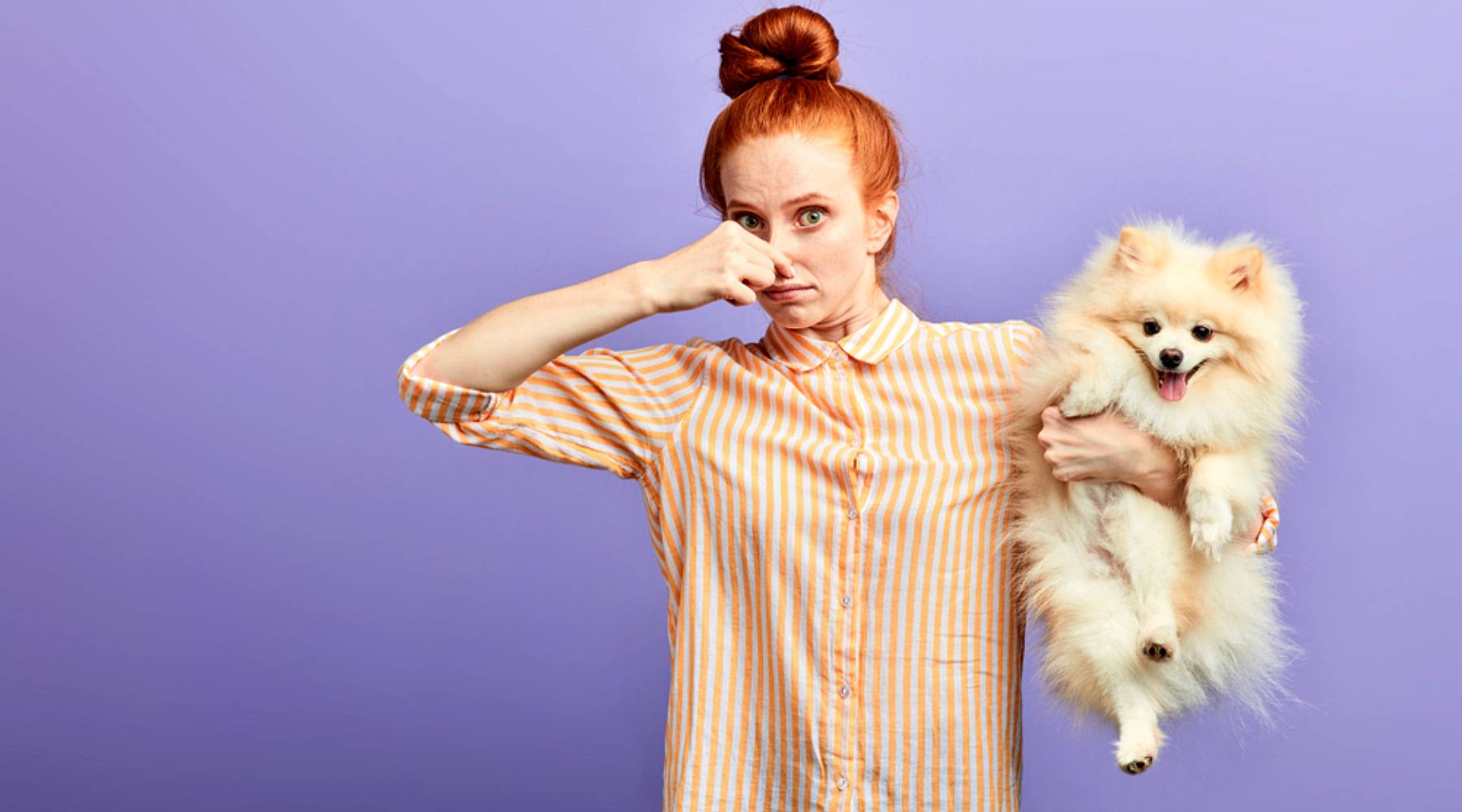 Flatulences chien symptômes