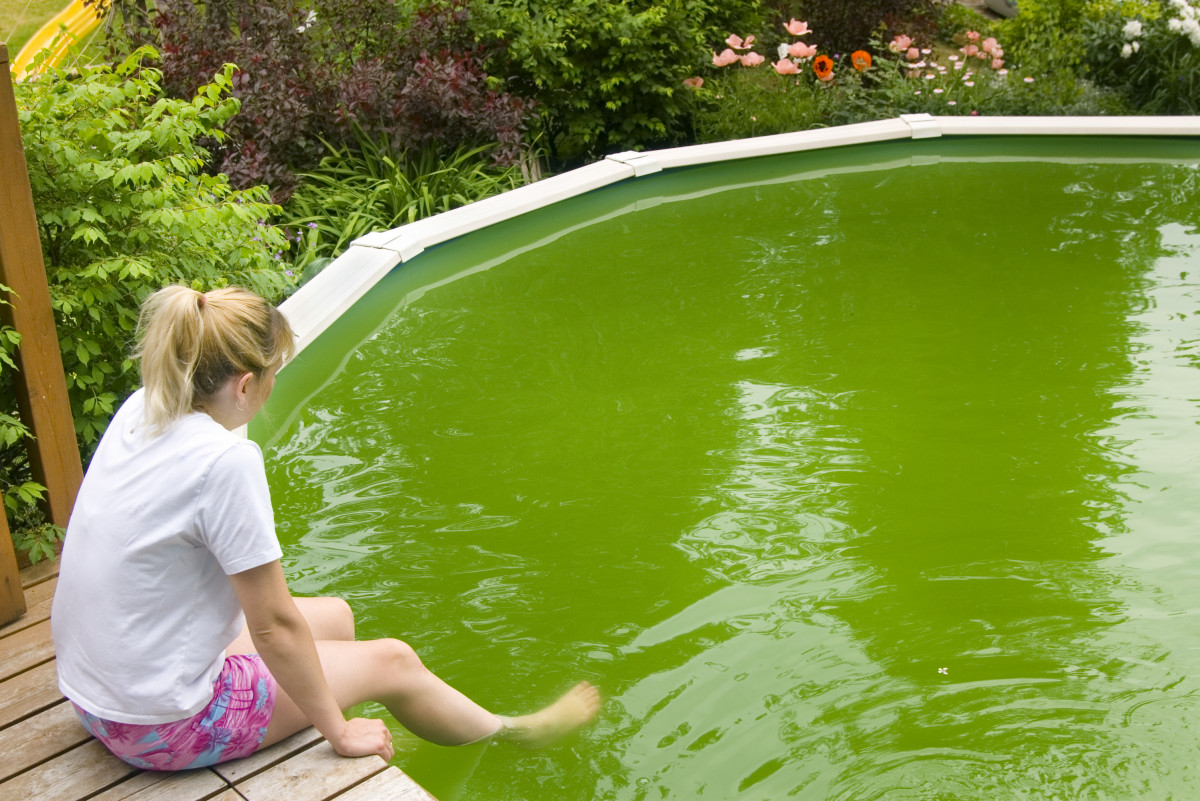 Piscine avec eau verte