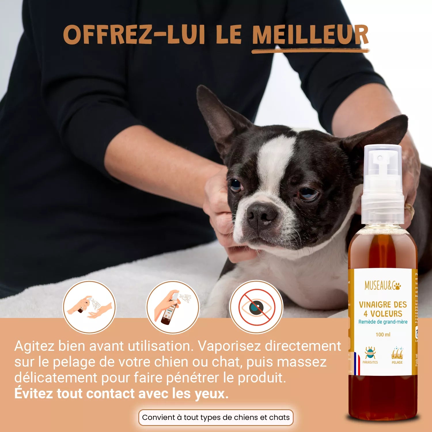 vinaigre des 4 voleurs pour chien