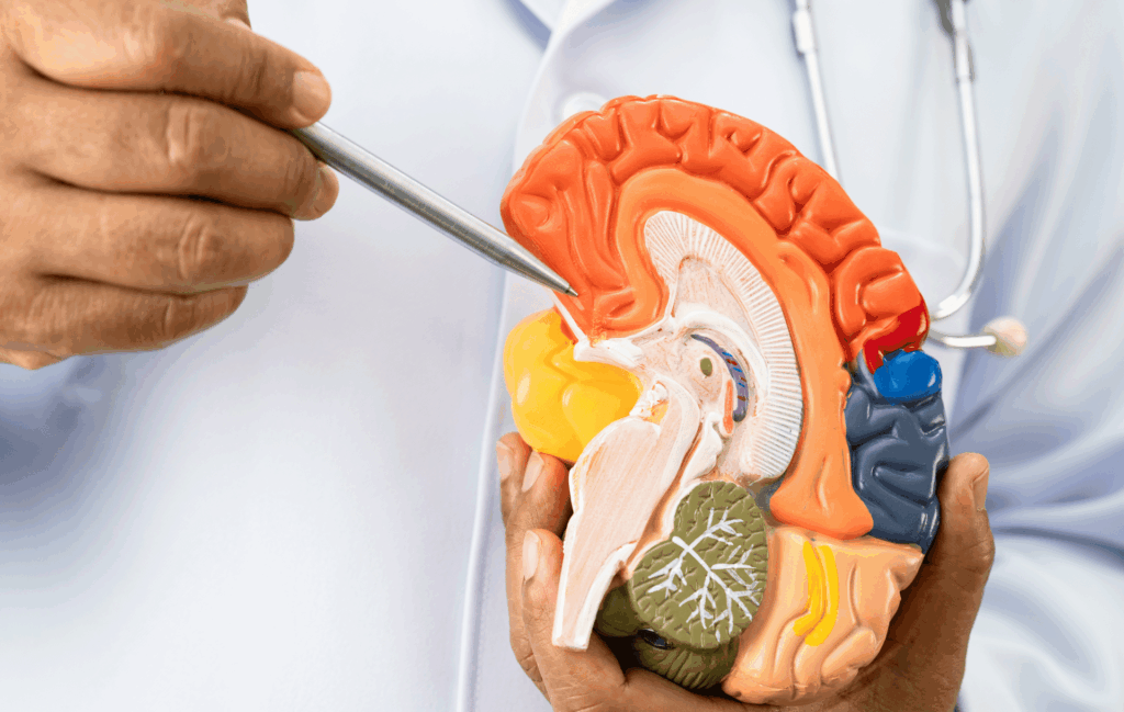 Démence alcoolique : différences et liens avec la maladie d’Alzheimer