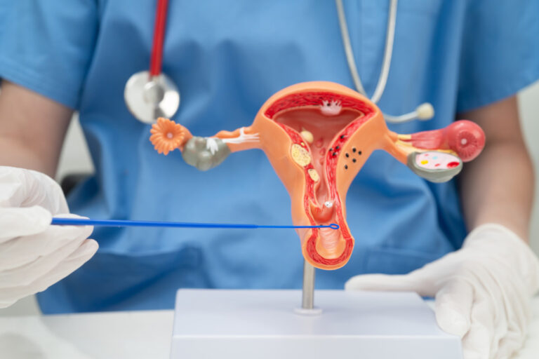 examining-a-model-of-female-reproductive-system-2026-03-25-09-46-19-utc